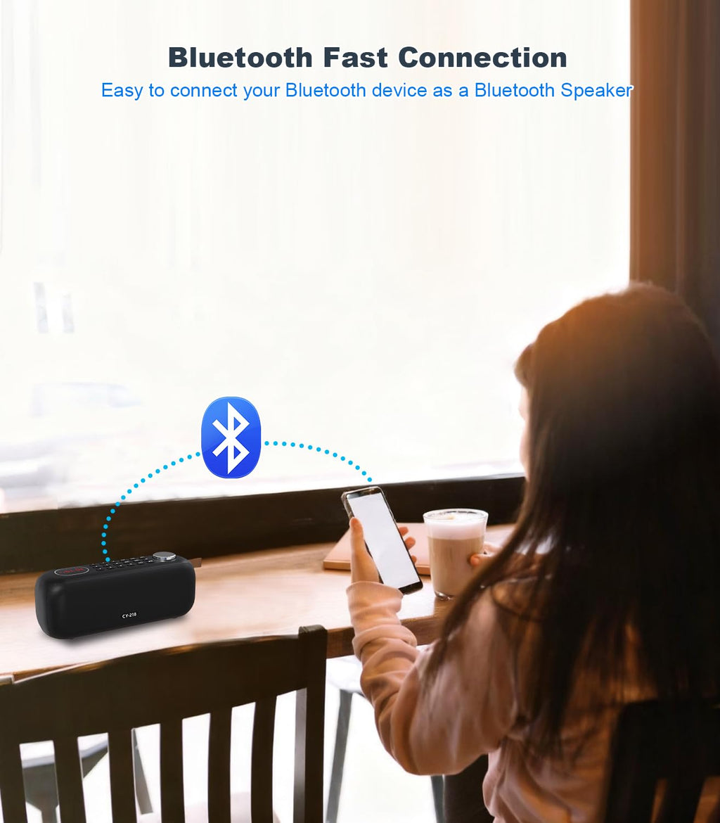Portable Bluetooth Speaker FM Radio 10W F3583