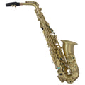 Alto Saxophone in E-Flat Saxophone Set J682
