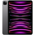 2022 iPad Pro 12.9-inch Wi-Fi + Cellular 256GB Space Gray Q8772