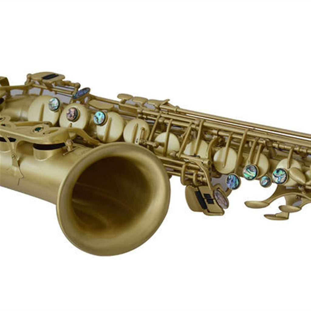 Alto Saxophone in E-Flat Saxophone Set J682