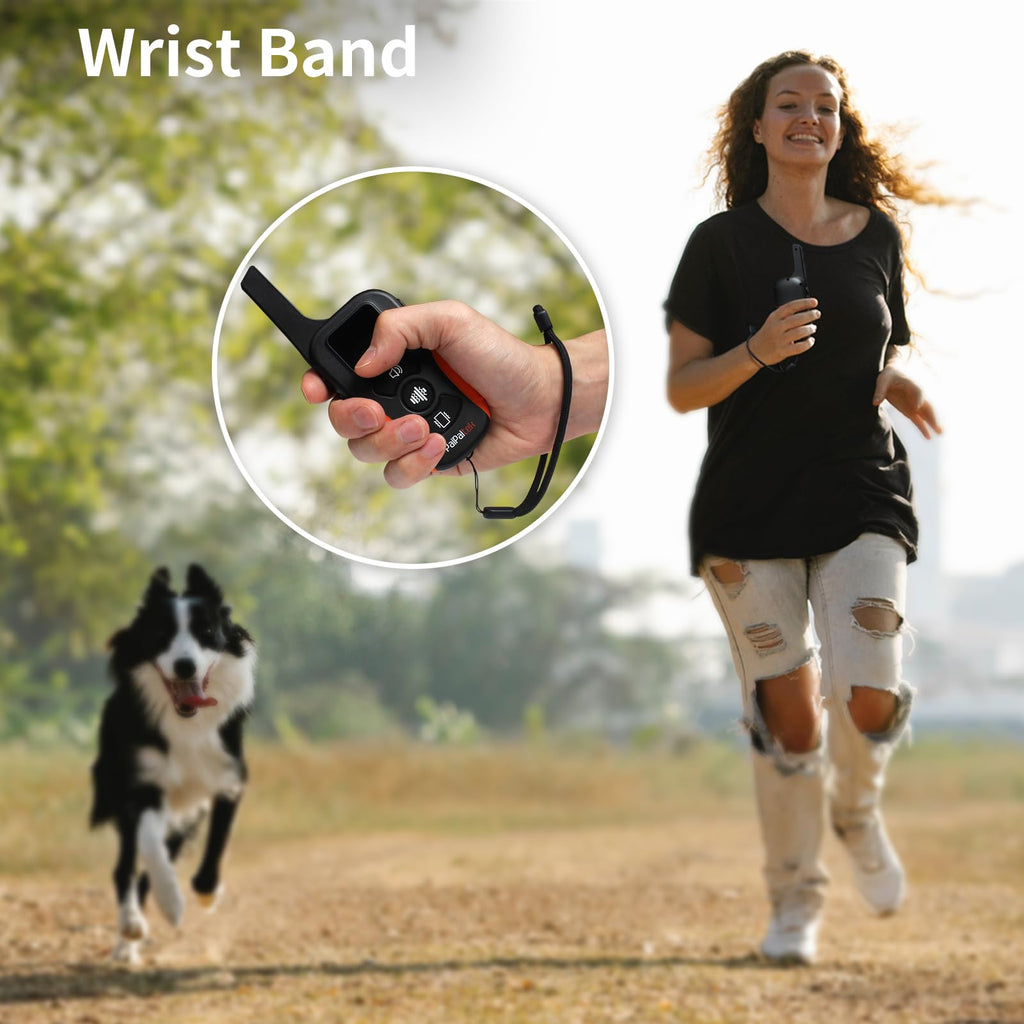 Vibration Dog Collar with Controller Q40674