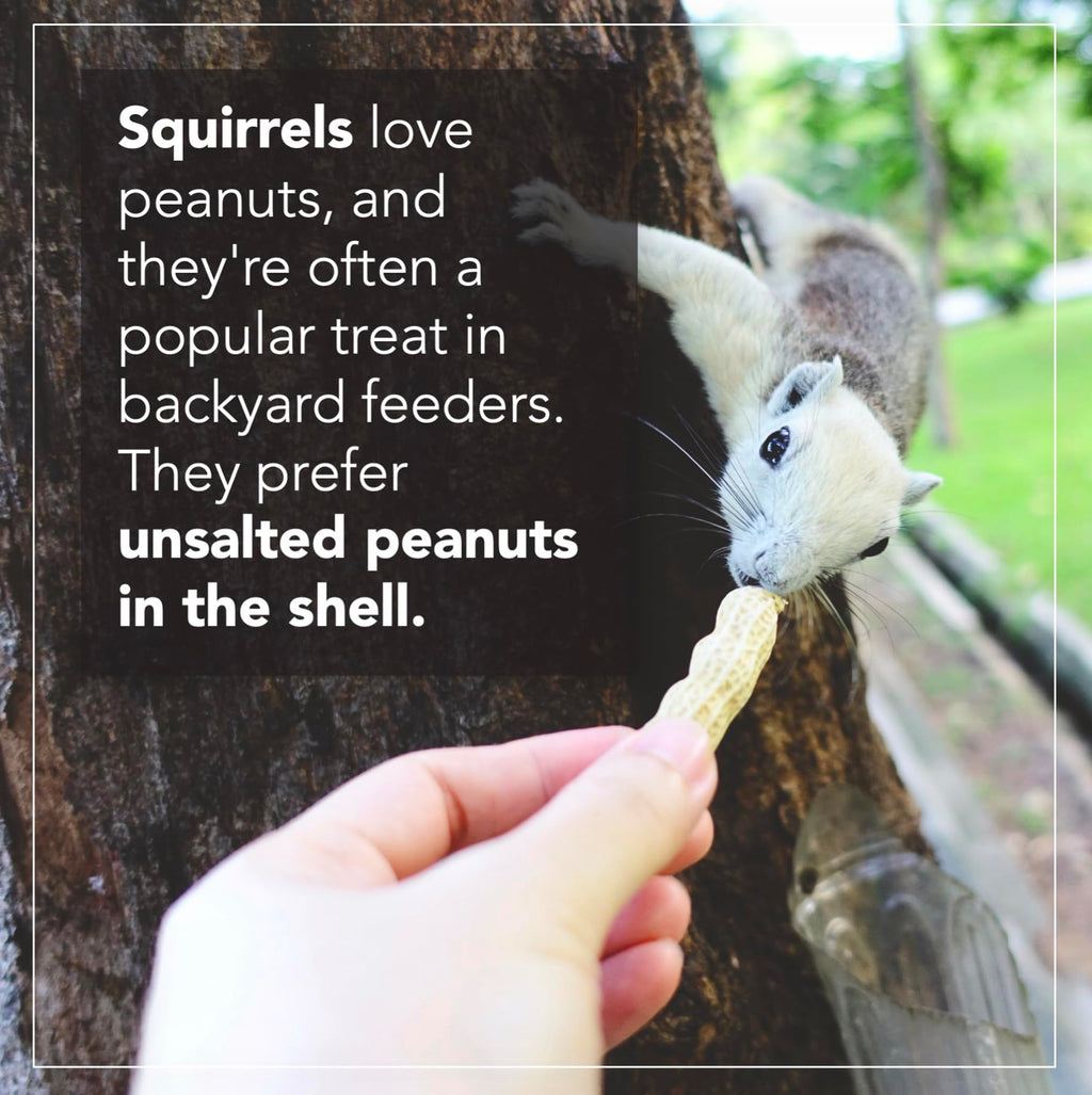 Raw Peanuts 25 LBS N242024