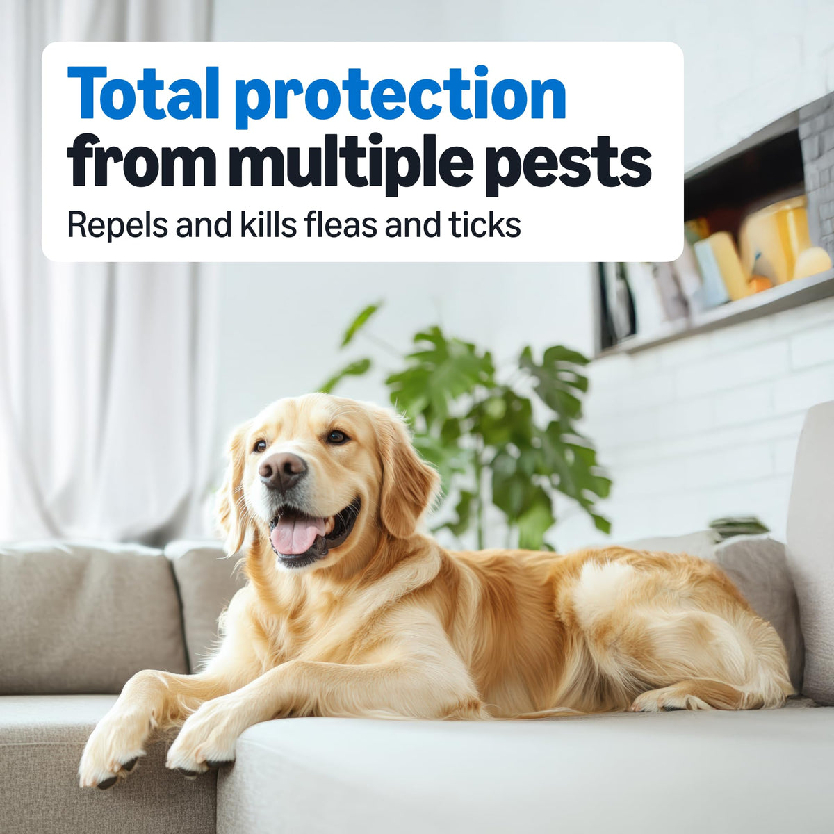 Flea and Tick Topical Treatment for Medium Dogs 3 Count V550
