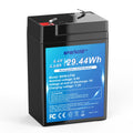 6.4V 4.6Ah LiFePO4 Battery T200