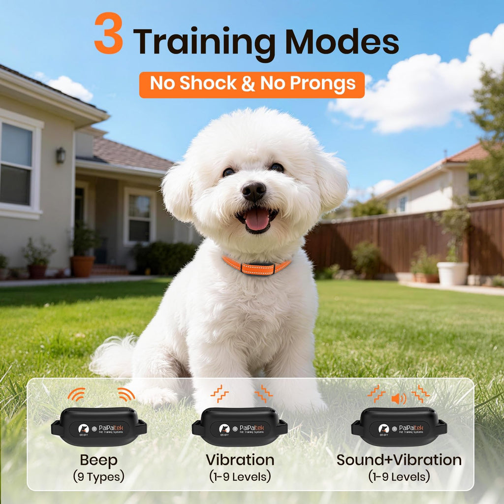 Vibration Dog Collar with Controller Q40674