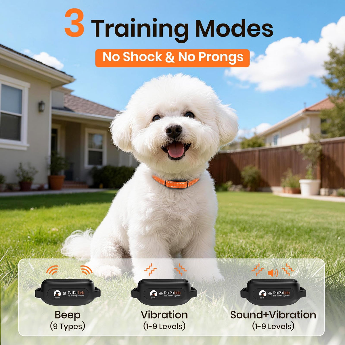 Vibration Dog Collar with Controller Q40674