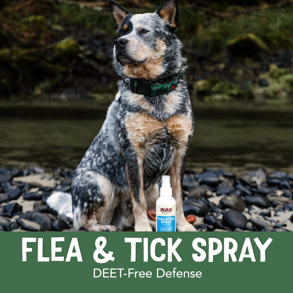 Flea and Tick Spray for Dogs 8-Ounce R168