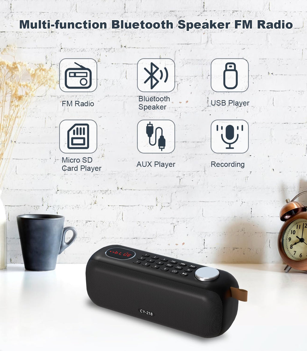 Portable Bluetooth Speaker FM Radio 10W F3583