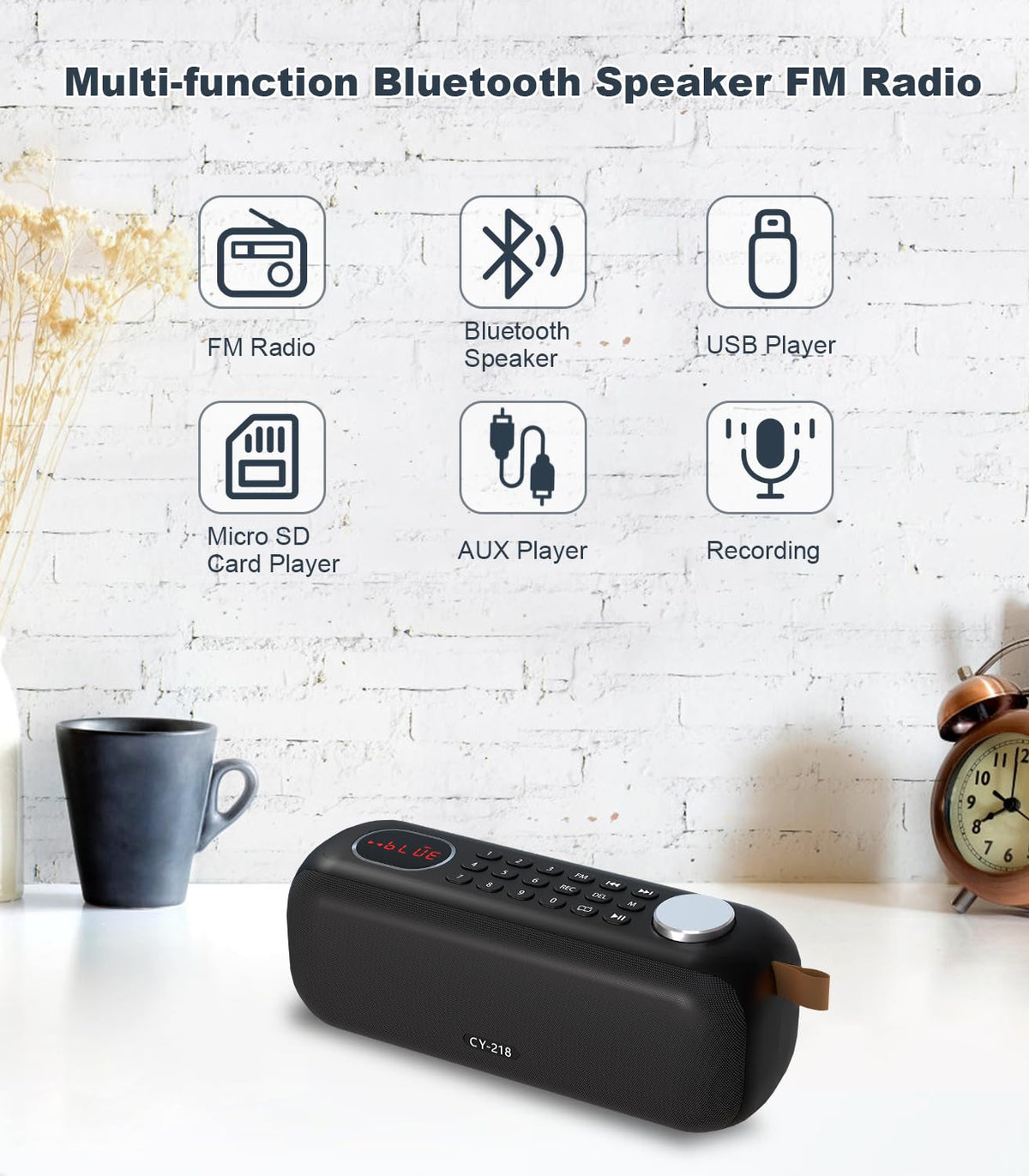 Portable Bluetooth Speaker FM Radio 10W F3583