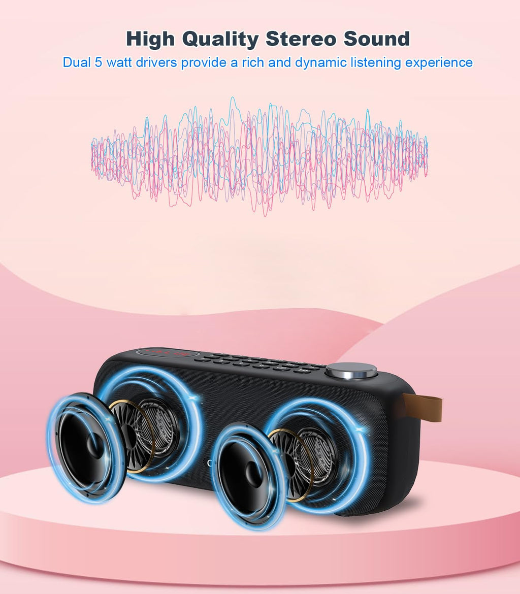 Portable Bluetooth Speaker FM Radio 10W F3583