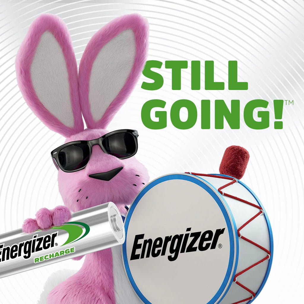 Rechargeable D Batteries 2 Pack N8225