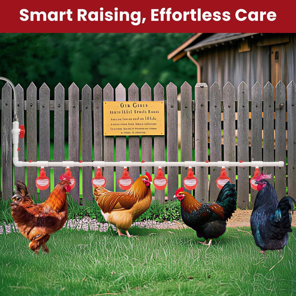 Automatic Chicken Waterer 8 Cups X709