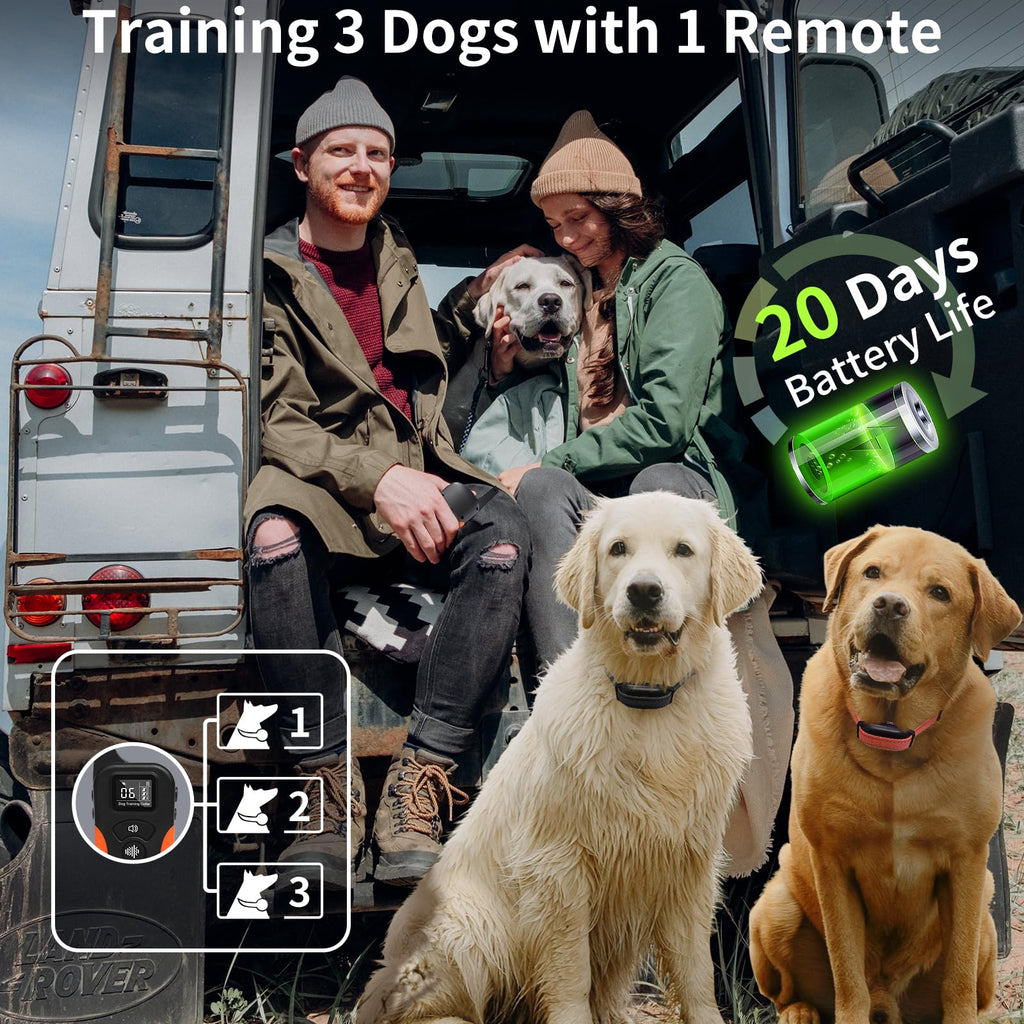 Vibration Dog Collar with Controller Q40674