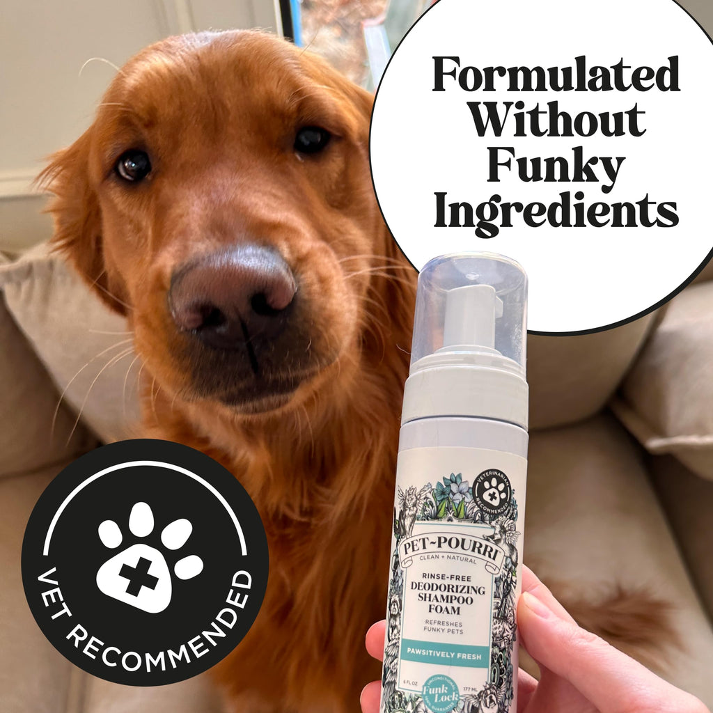 Rinse-Free Deodorizing Dry Shampoo for Dogs & Cats, 6 Fl Oz X52427