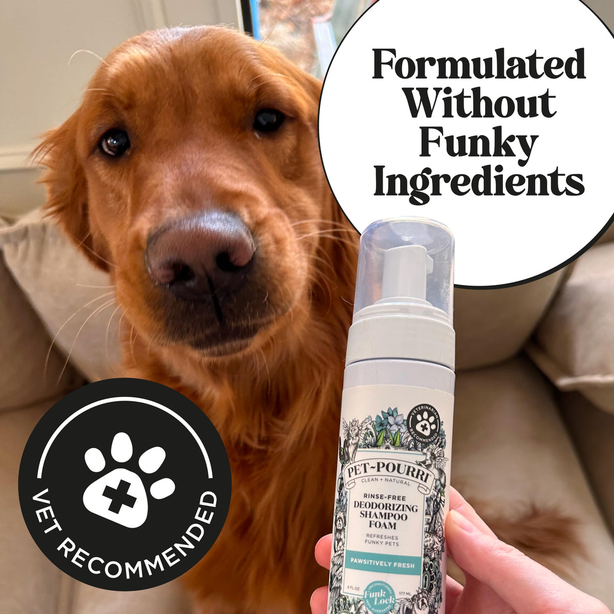 Rinse-Free Deodorizing Dry Shampoo for Dogs & Cats, 6 Fl Oz X52427