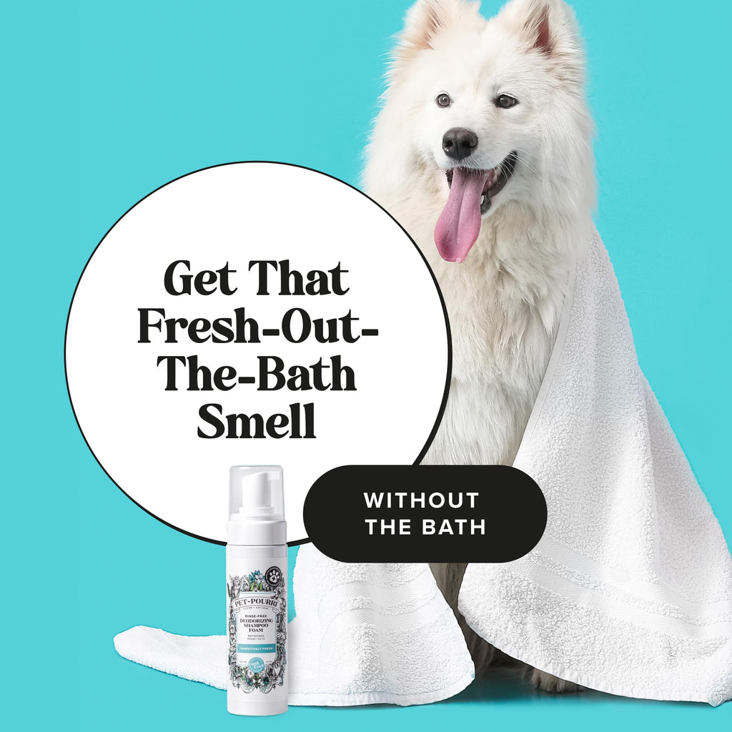 Rinse-Free Deodorizing Dry Shampoo for Dogs & Cats, 6 Fl Oz X52427