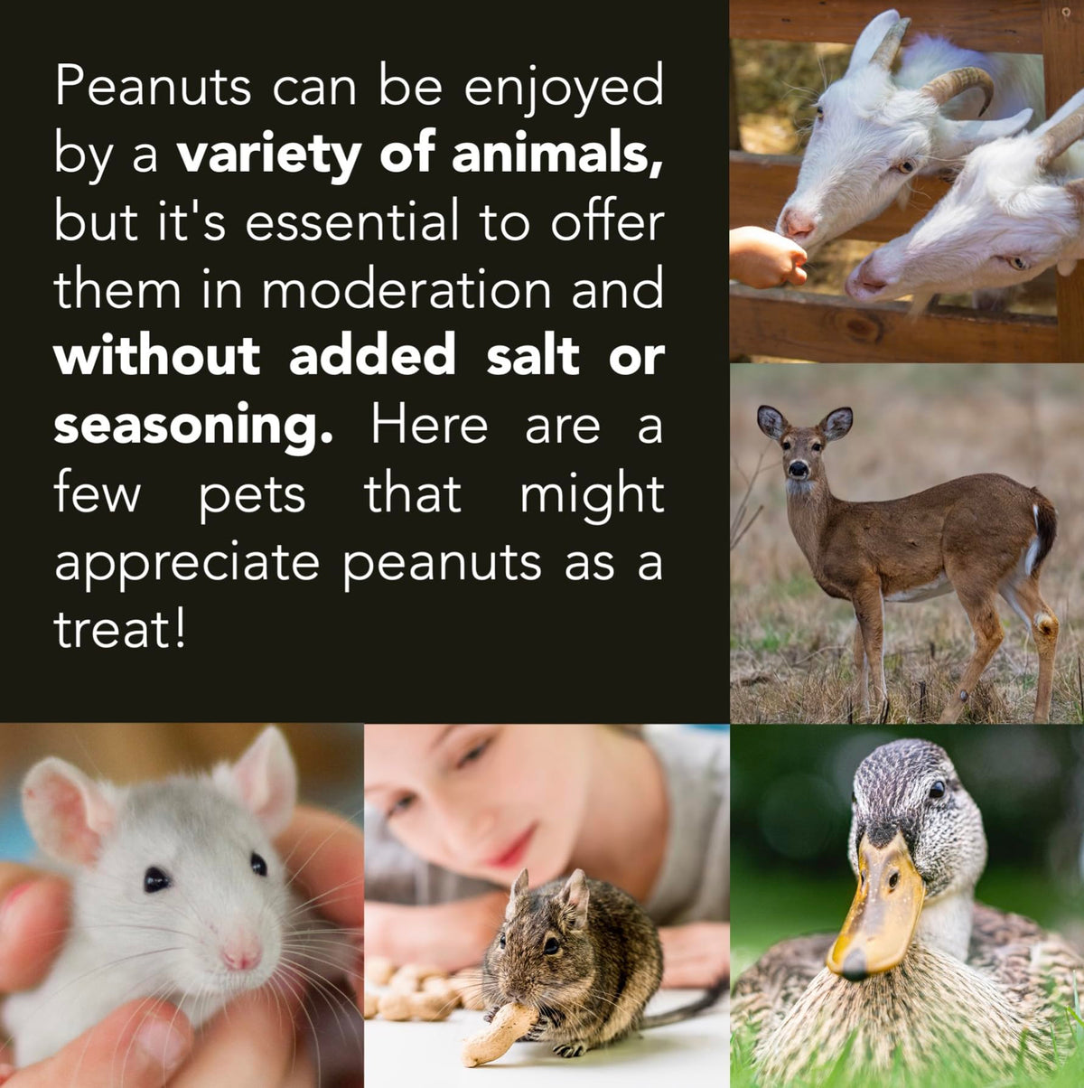 Raw Peanuts 25 LBS N242024