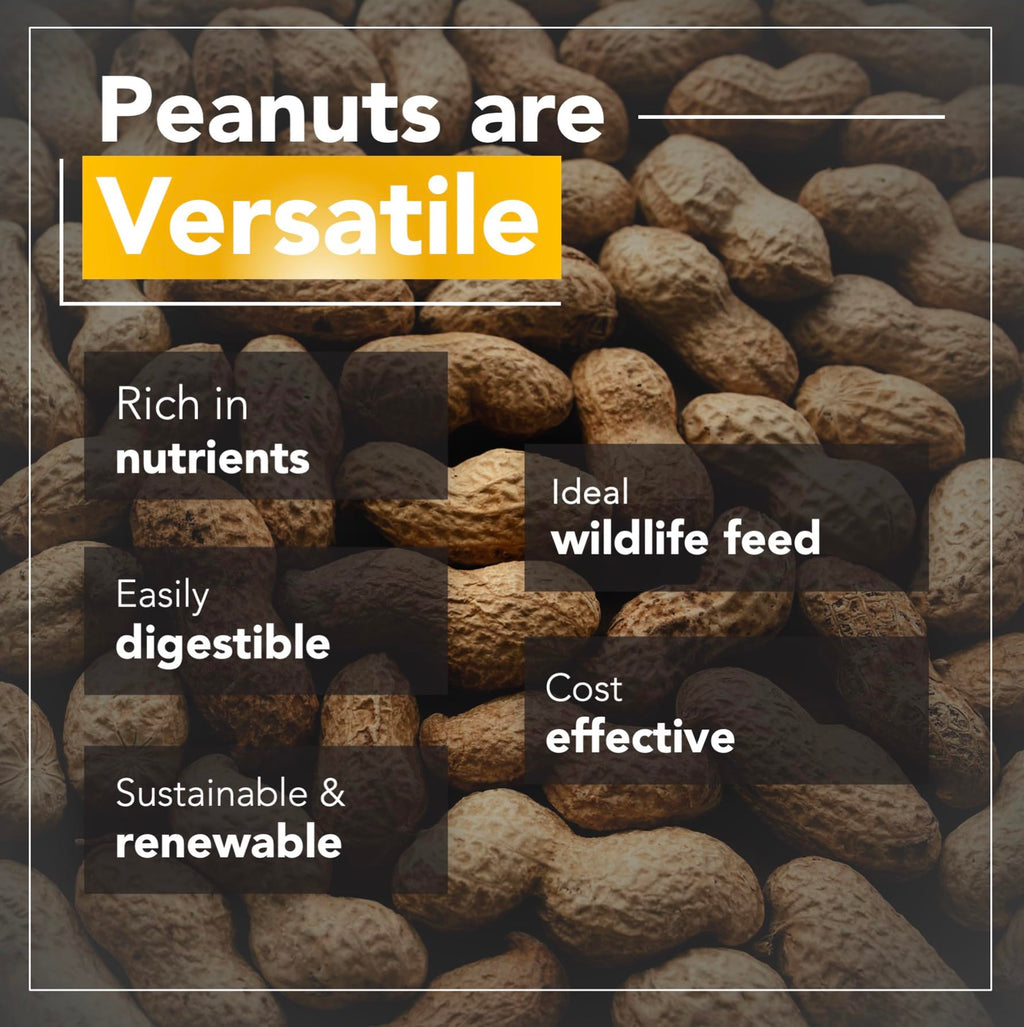 Raw Peanuts 25 LBS N242024