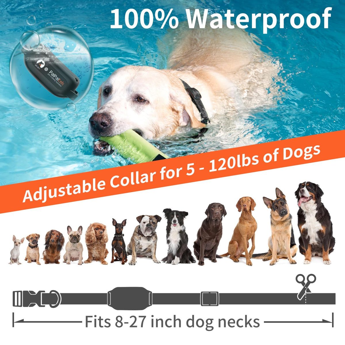 Vibration Dog Collar with Controller Q40674