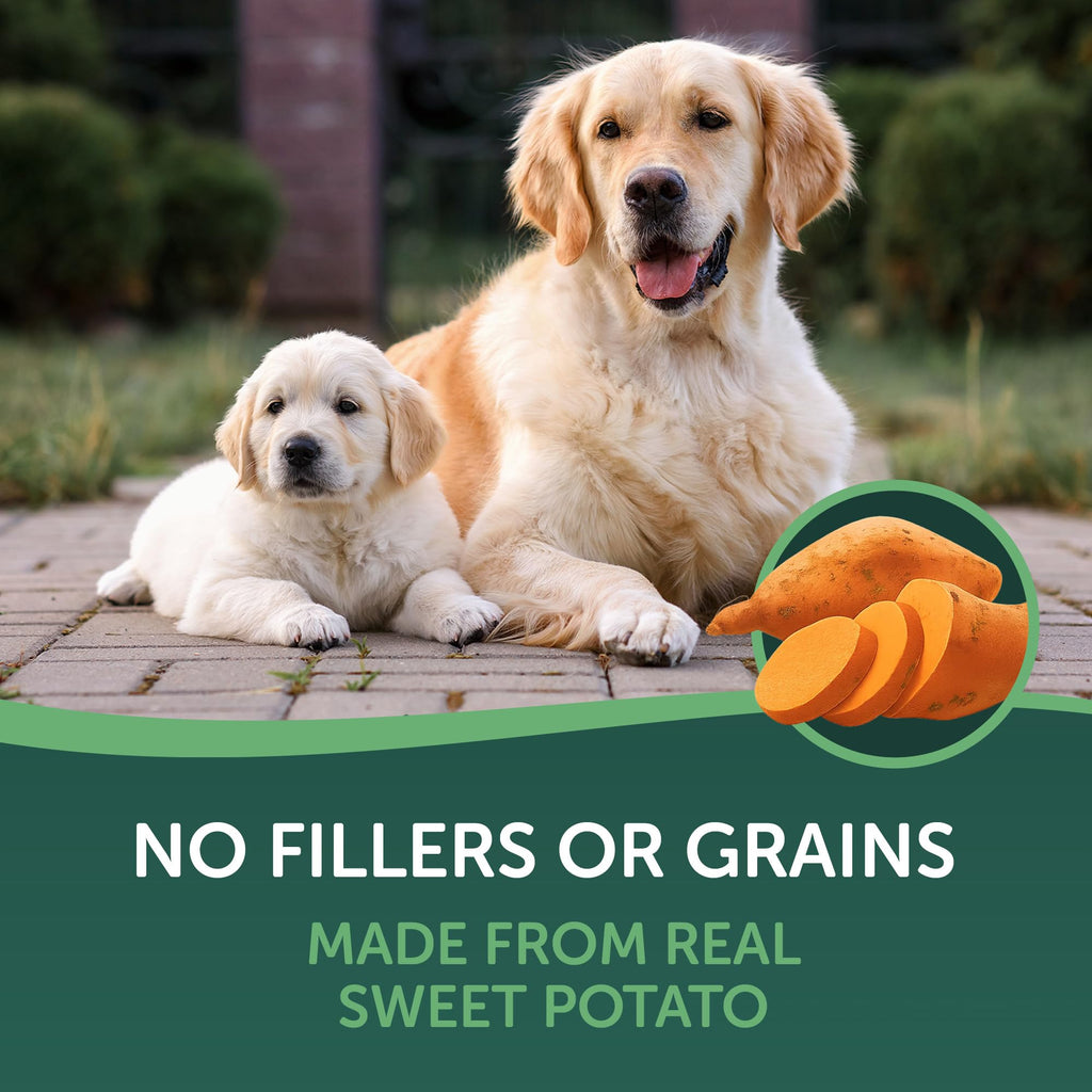 Dried Sweet Potato Slices Dog Treats 16 oz I851983