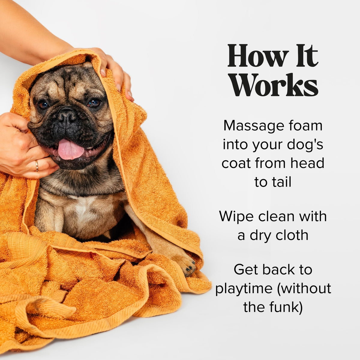 Rinse-Free Deodorizing Dry Shampoo for Dogs & Cats, 6 Fl Oz X52427