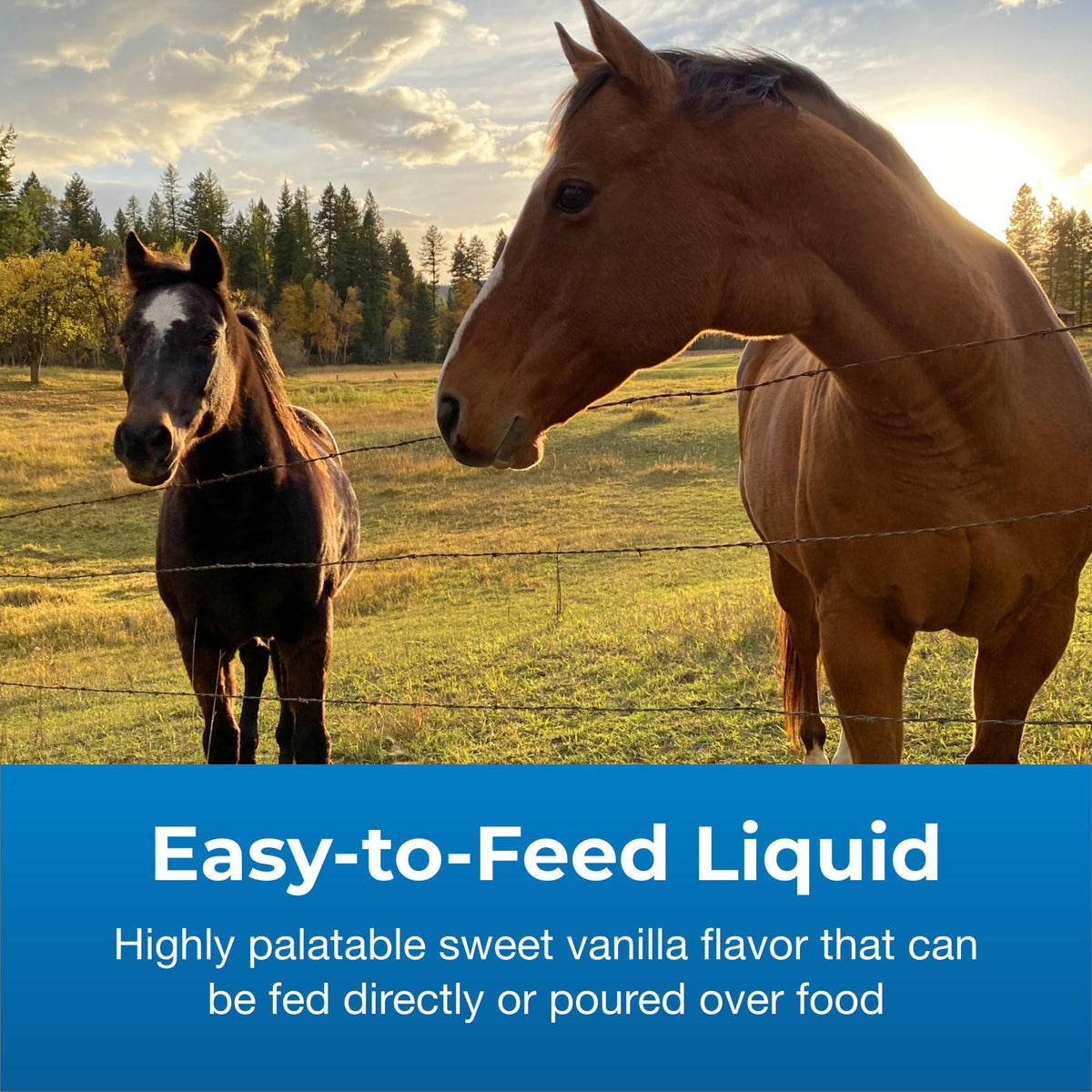 High Calorie Liquid Nutritional Supplement for Livestock 1 Gallon R615