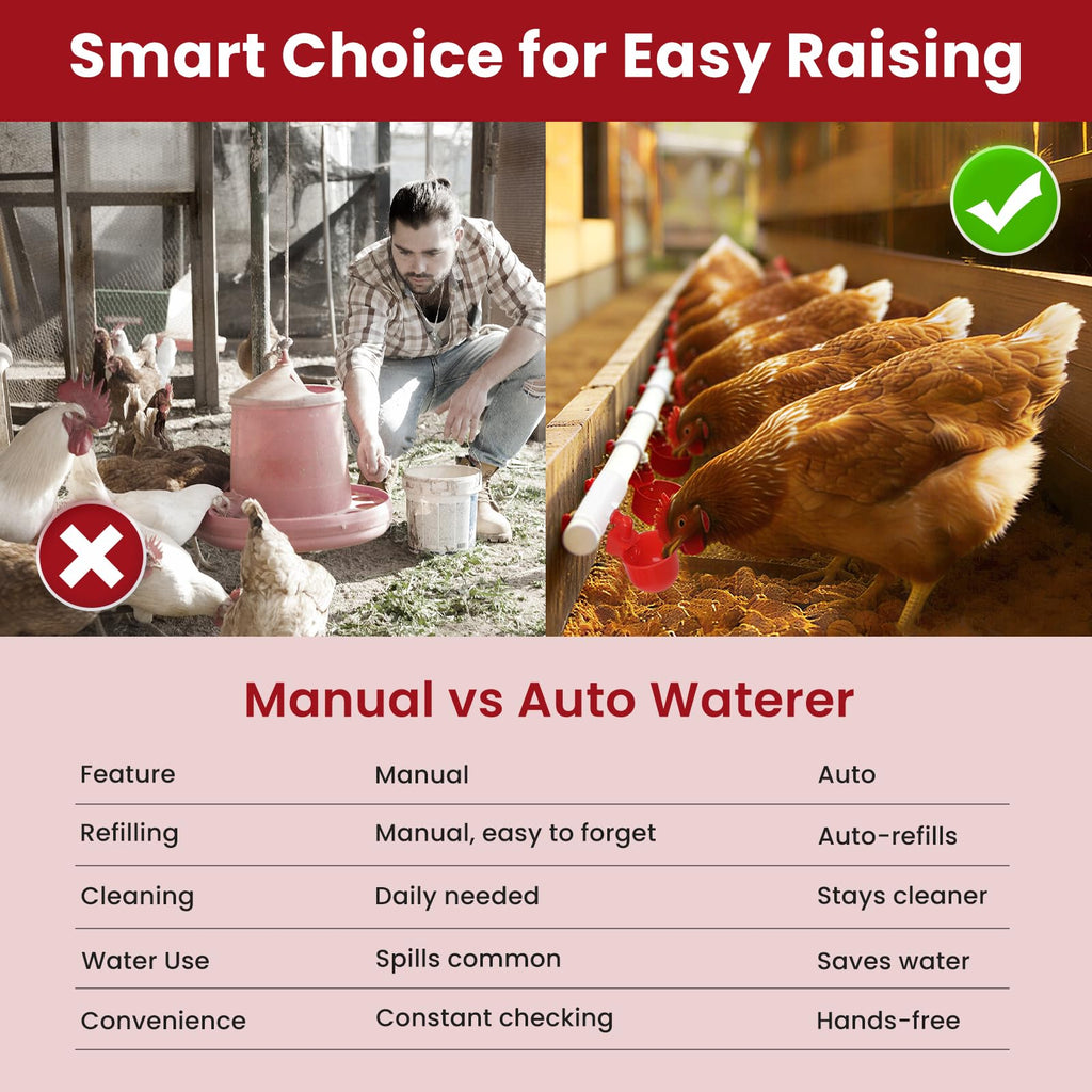 Automatic Chicken Waterer 8 Cups X709