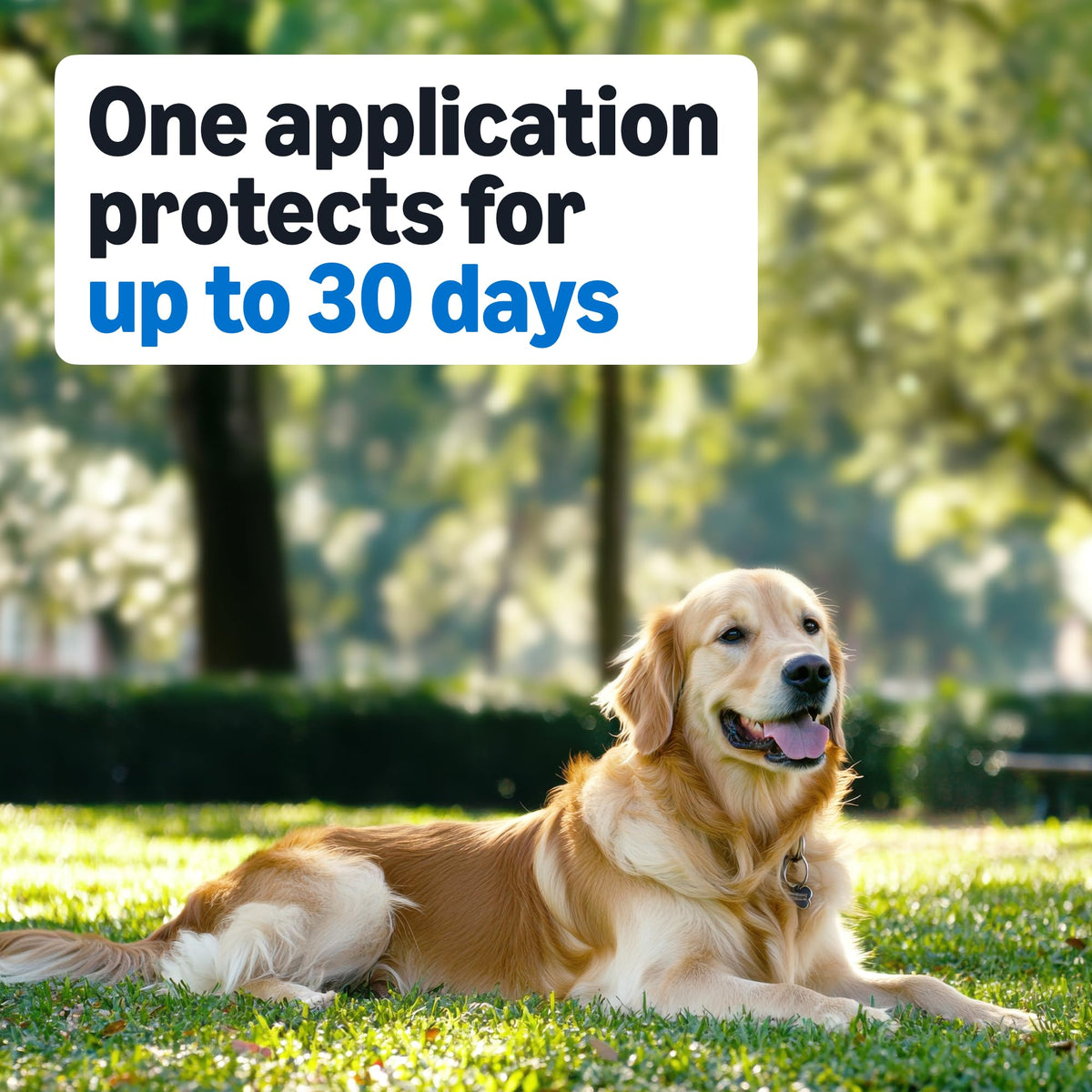Flea and Tick Topical Treatment for Medium Dogs 3 Count V550