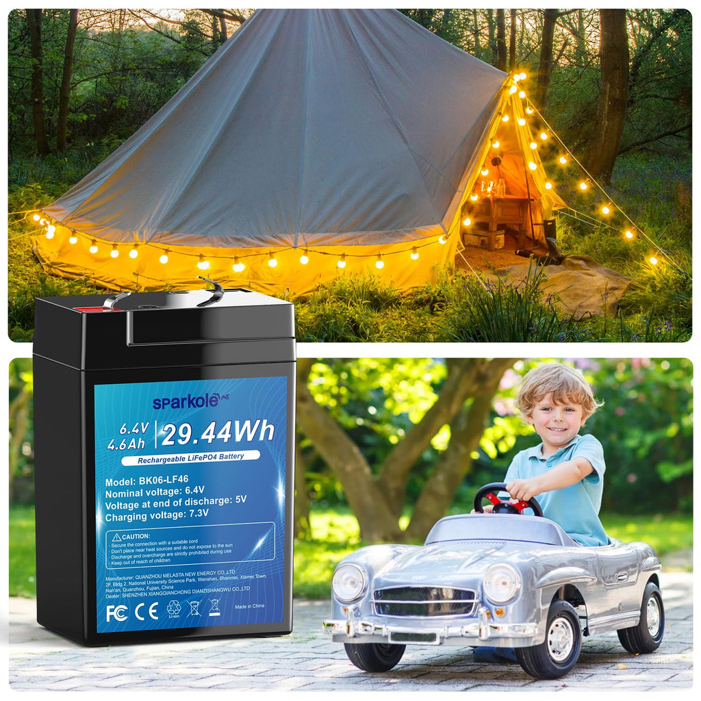 6.4V 4.6Ah LiFePO4 Battery T200