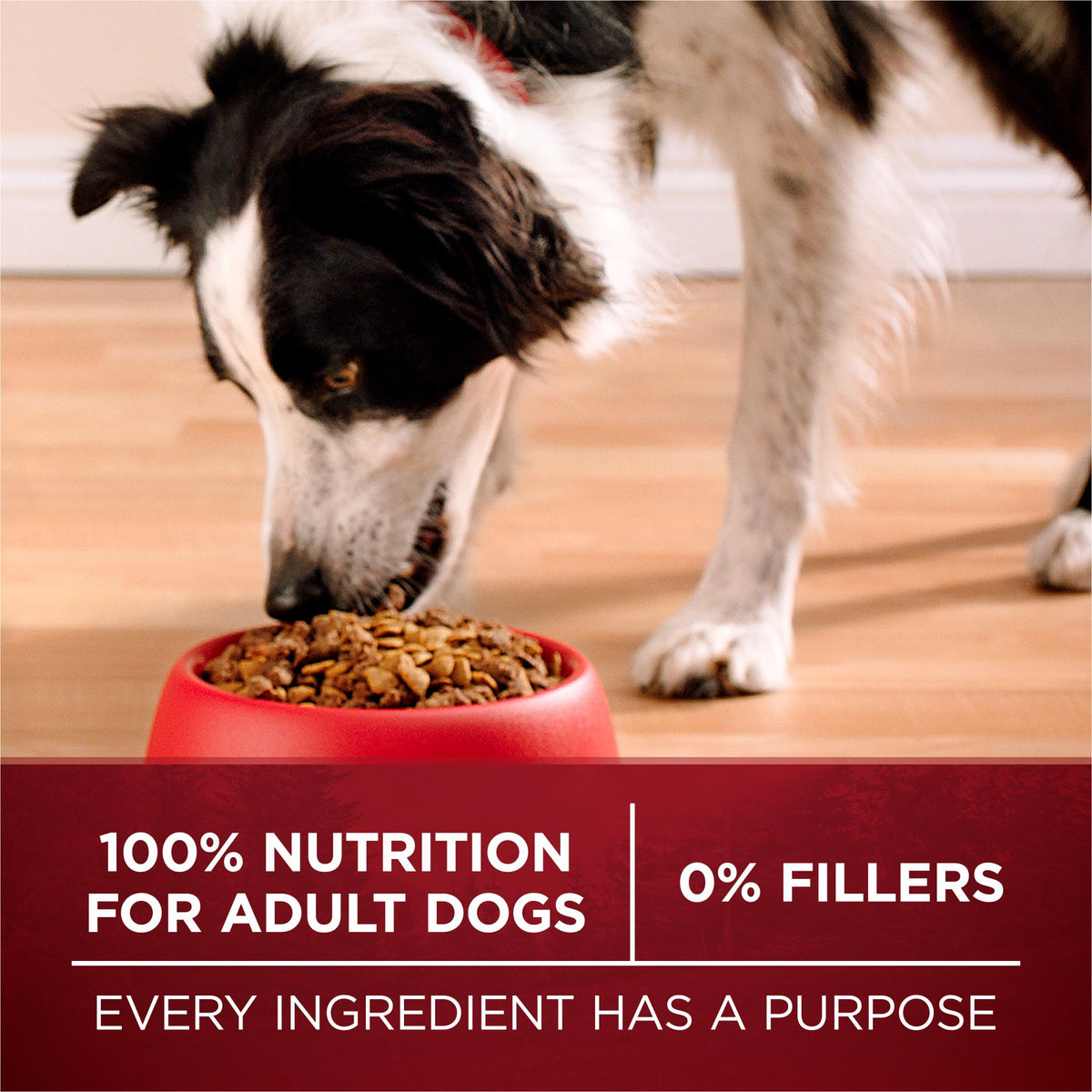 High Protein Chicken & Duck Dog Food D26534