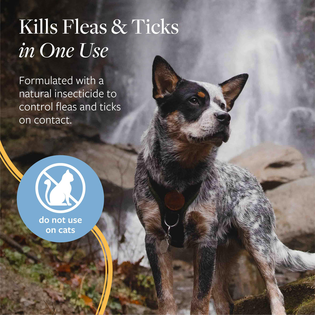 Flea & Tick Spray for Dogs 8 oz S892885