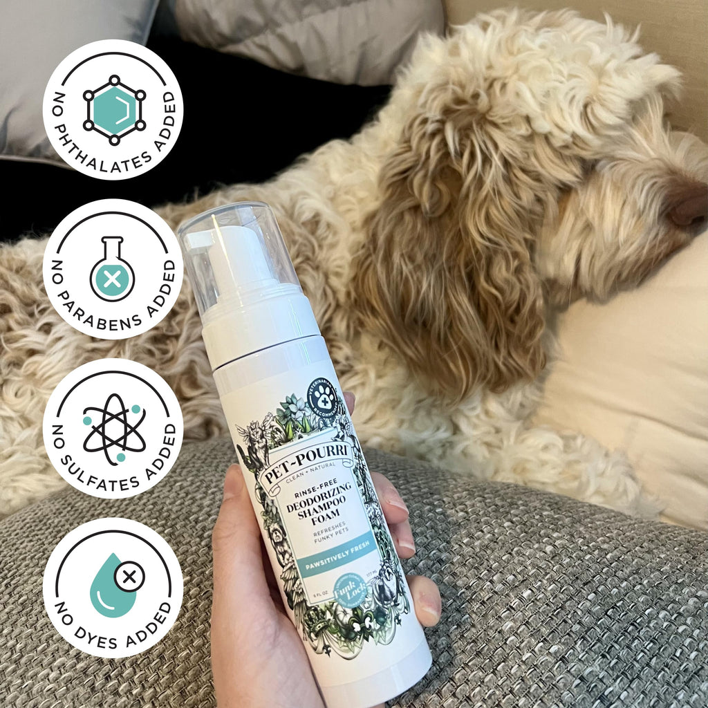 Rinse-Free Deodorizing Dry Shampoo for Dogs & Cats, 6 Fl Oz X52427