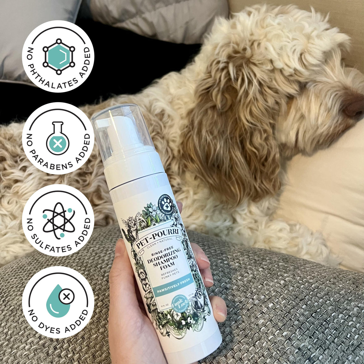 Rinse-Free Deodorizing Dry Shampoo for Dogs & Cats, 6 Fl Oz X52427